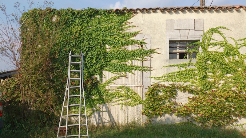 plein cintre en l'état début de chantier